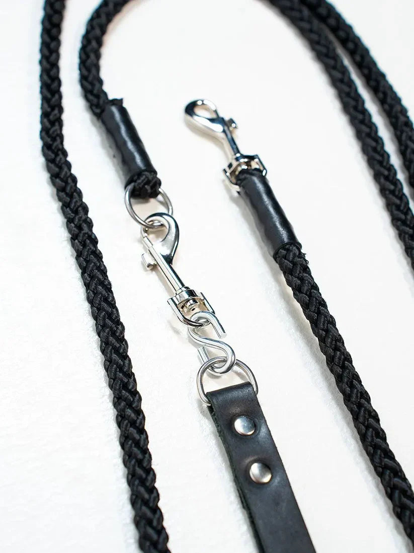 Conjunto de fijación salvaje