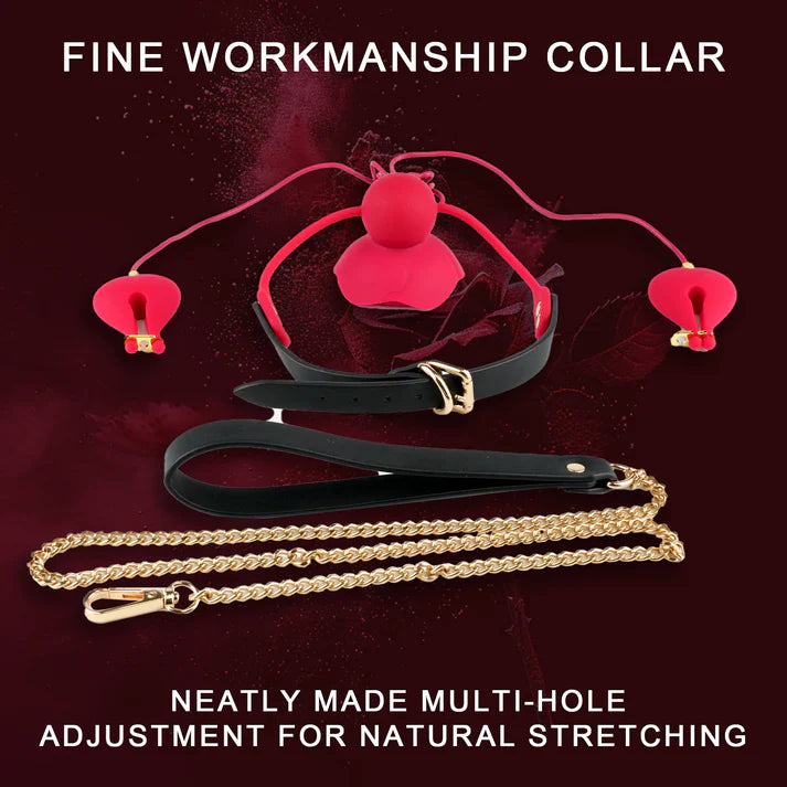 Rose Mouth Plug & BDSM Play Set