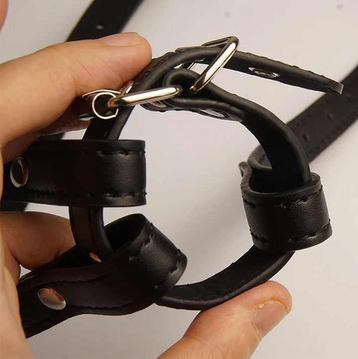 Tom's Leather Harness