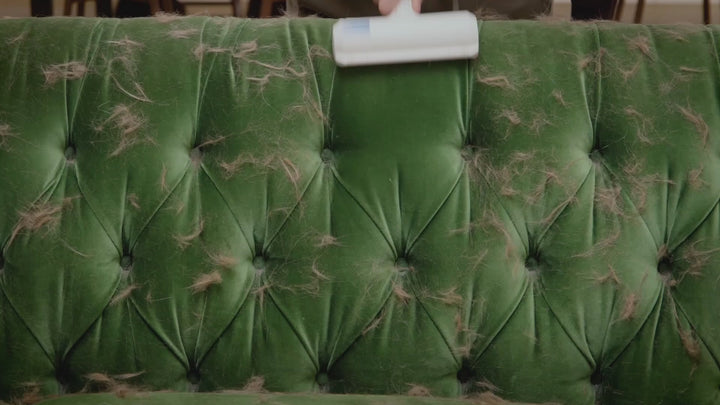 Pet Hair Roller Remover